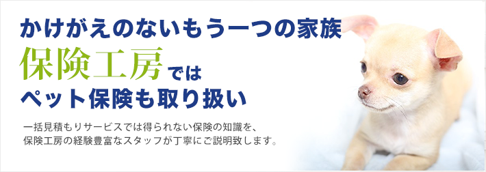 かけがえないのもう一つの家族。保険工房ではペット保険も取扱い